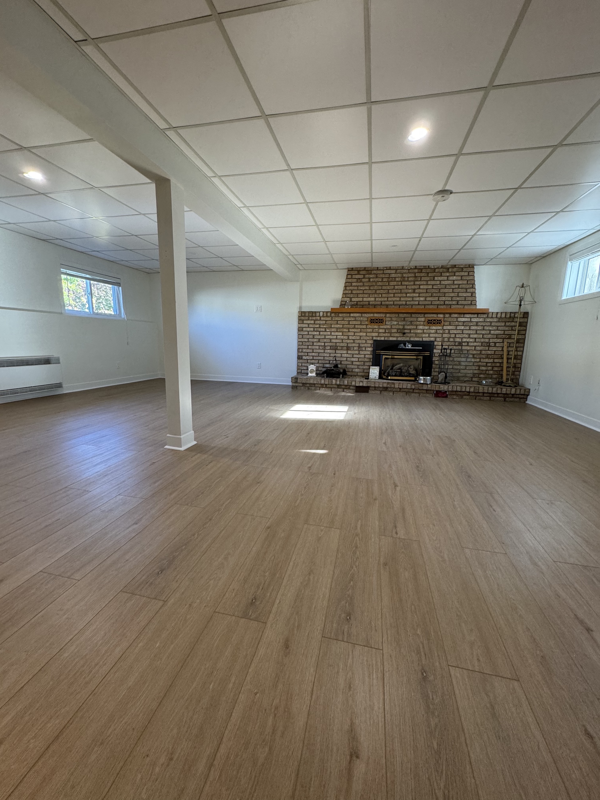 Large basement renovation featuring durable wood-look vinyl plank flooring