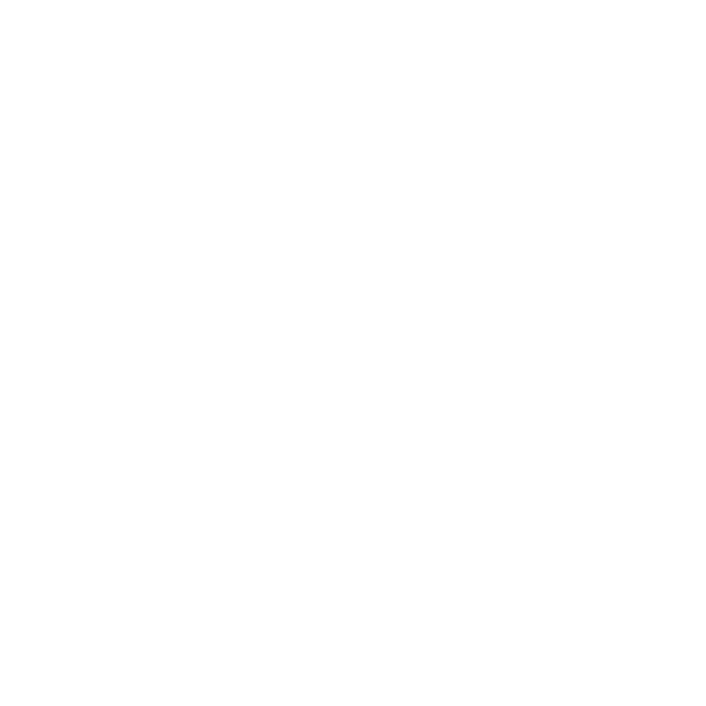 Pro A Construction Logo White